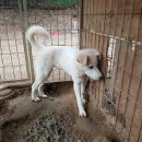 자룡농장 이미지