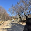 느리게 스테이 | [합천 템플스테이]1일차 후기