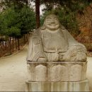 대곶초교 이미지