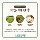 청라함소아한의원 이미지