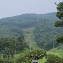 포전마을 | 참밸리CC 7월 라운딩 후기 [잘 관리된 포천 골프장]