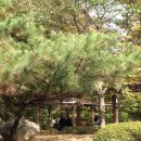 성저공원(대화도서관 옆) 이미지