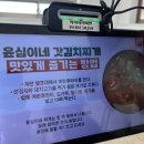 송씨솜씨&스테이 | 여수 윤심이네실비집 관문점 갓돈찌개 내돈내산 후기