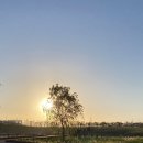 배곧생명공원 이미지