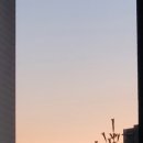 신당1로-1 이미지