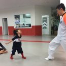 나토얀 태권도장 이미지