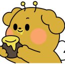 오렌지 펜션 이미지