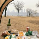 지쎄븐(G7) | CU와인 / CU맥주 구매후기! 내사랑 지세븐을 편의점 와인으로 만나다 (+ 편의점 맥주 라이거 후기)