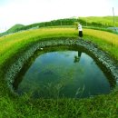 녹색관광센터 이미지