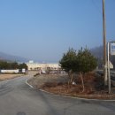 평촌초등학교 앞 이미지