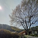 왕방산 Daum카페