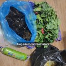 내일재래시장 | 기초생활수급자 식비 절약법, 재래시장 1만원으로 5일 밥상 차리는 실제 후기