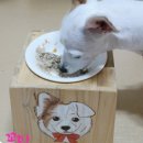 망고쿠로 이미지