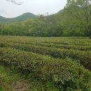 안산스마트 스퀘어지식산업센터 이미지