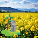 제주도 체력 프로그램 (등반, 요가, 피트니스)