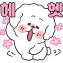 포르르 이미지