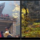 금강산(金剛山) 이미지
