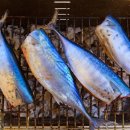 웰빙건강 식단 이미지