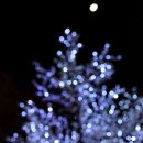 빛의 스펙트럼 이미지