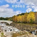 화명수목원 화장실 | 부산 단풍 명소 화명수목원 구경 시기 지도 실시간 정보
