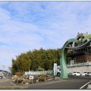 맹종죽테마파크1 이미지