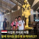 플레시피 | 이집트 대박물관, 투탕카멘 황금마스크 무휘투어 자유여행 후기