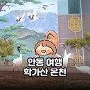 안동학가산온천 | 안동 여행 | KTX 타고 떠난 겨울 온천 힐링 | 학가산 온천 내돈내산 찐후기