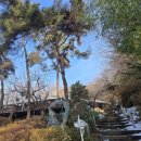 박터진흥부네 이미지