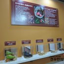 초콜릿 박물관 이미지