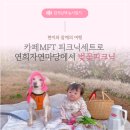 자연 애개 이미지
