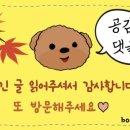 예안정
