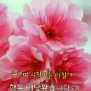마직
