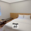 서우 호텔 | 대구 | 본리동 숙소 본리 호텔 서우 내돈내산 숙박 후기 !