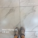 트윈PT | 서울 양재동 헬스장 다이어트 PT 러쉬앤짐 실제 회원 초보 PT 후기