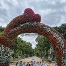[지역사회연계] 태화강 십리대숲에 다녀왔습니다🎋 이미지