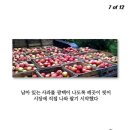 대인생역전 이미지