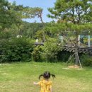 태이 카카오 검색결과