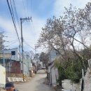 우면산3-22 이미지