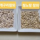 거  청 이미지