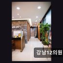 밸런스성형외과의원 | 강남 구 테헤란로 성형외과 강남12의원 실리프팅 전문, 신뢰도 높은 시술