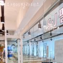 에스제이체형교정 이미지