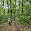 금빛환경 이미지