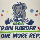 크로스핏엘리펀트 이미지