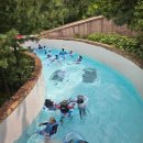 장미탕 | 의정부 워터파크 아일랜드캐슬 재개장 솔직이용후기