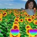 해바라기발전소 이미지