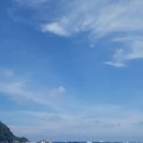 반딧불STUDY | Study Tour 준비