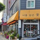[대구 24시 무인 꽃집 추천] 삼성라이온즈 야구공 꽃다발도 만날 수 있는 특별한 꽃집 대구역 너를담은꽃