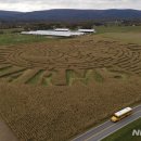 가족농장 이미지