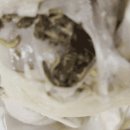 하림생닭 이미지