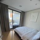 블루망고 이미지